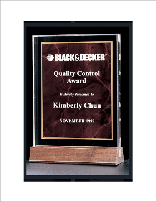 Acrylic Award with a Ruby Marble Center