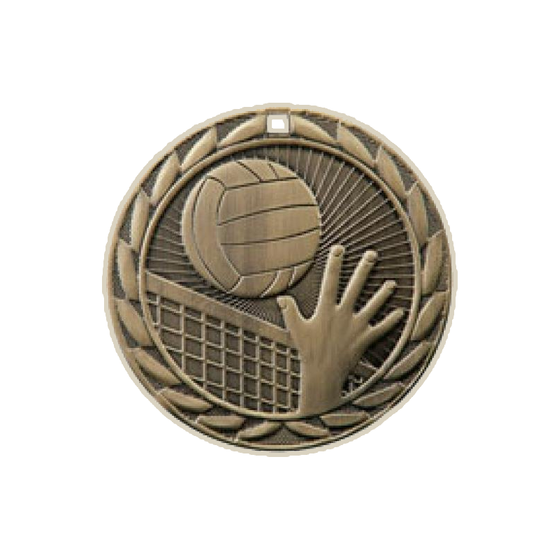 Volleyball FE Iron Medal