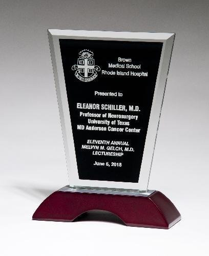 Clear Glass Award w/ Black Silk Screened Center