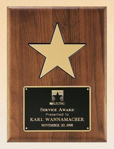 American Walnut Plaque with an Antique Bronze Casting