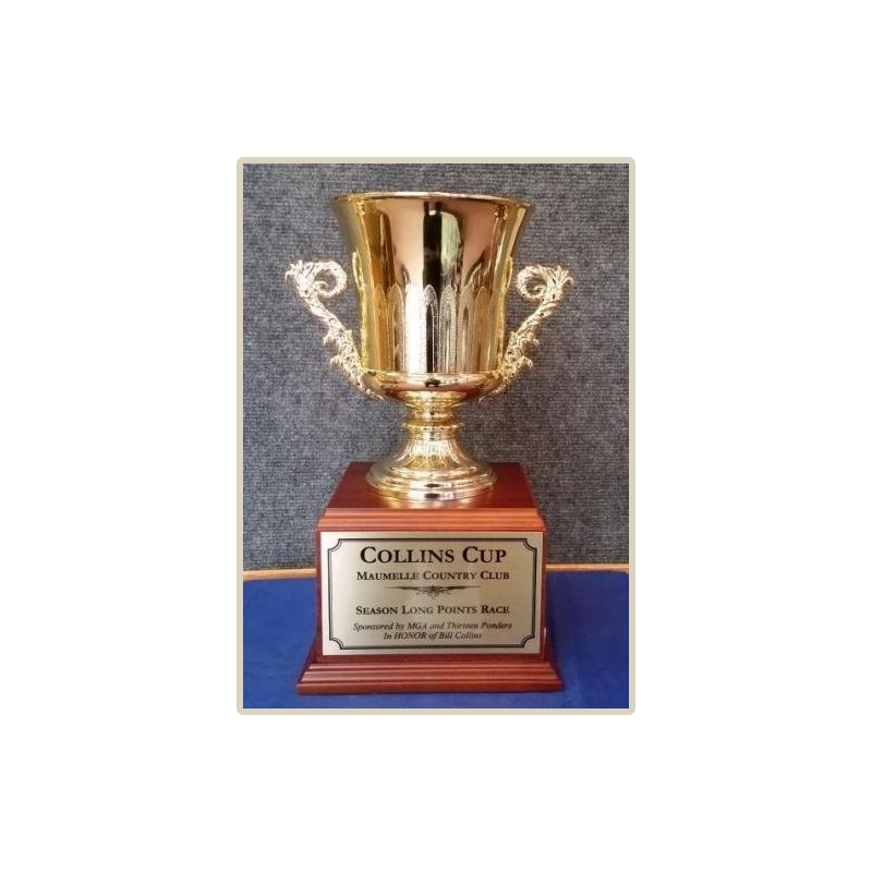 Gold Plastic Wine Cooler Cup Trophy on Wood Base