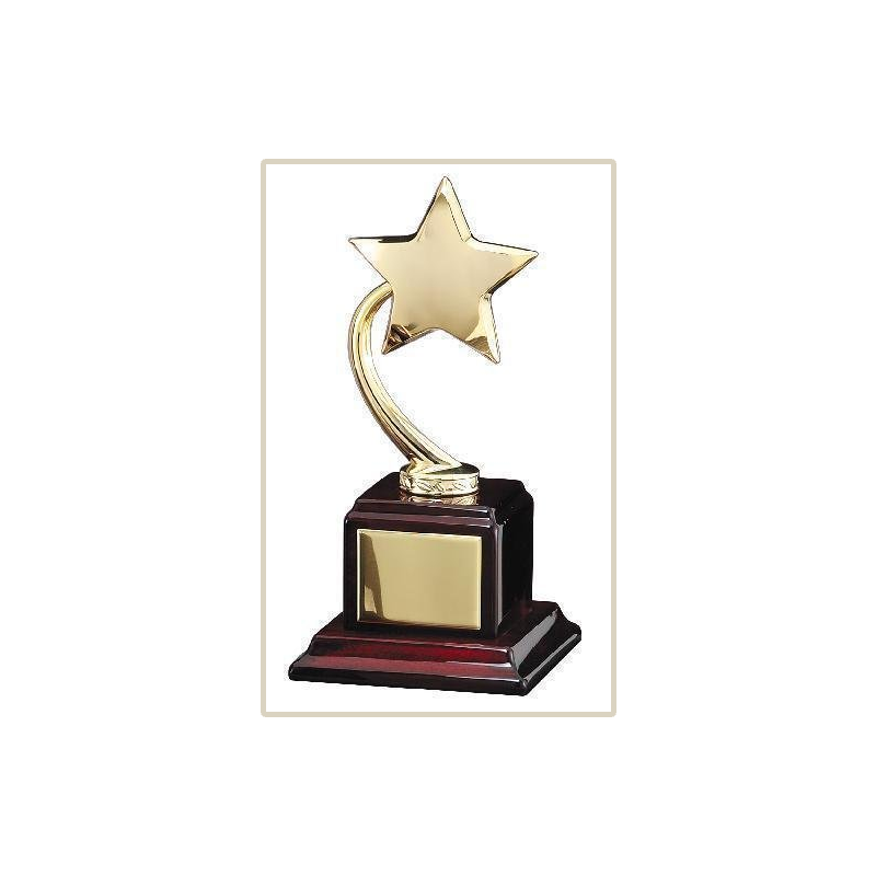 Gold Star On Wood Base
