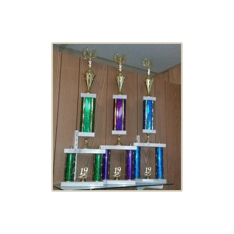 CHAMPION SERIES